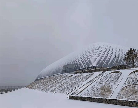 How Do Our Domes Perform With The Snow?