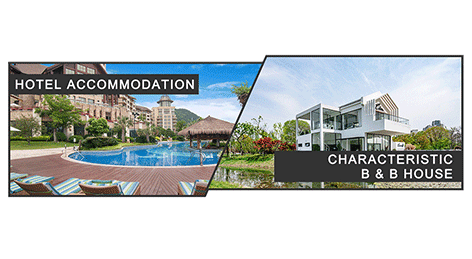 Hotel Accommodation&Characteristic